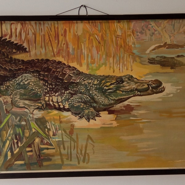 Original Vintage School Poster, Crocodile, Nakladni zavod Hrvatske, Zagreb, Yugoslavia 1948
