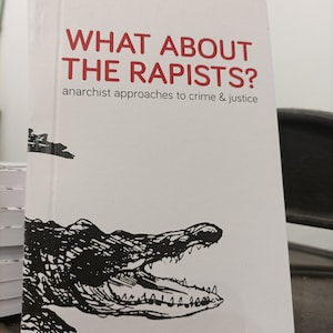 Op de afbeelding: Een wit boek met de titel "WHAT ABOUT THE RAPISTS?" in rode letters en de ondertitel "anarchist approaches to crime & justice". De omslag toont een zwart-wit illustratie van een alligator. Het boek staat rechtop.