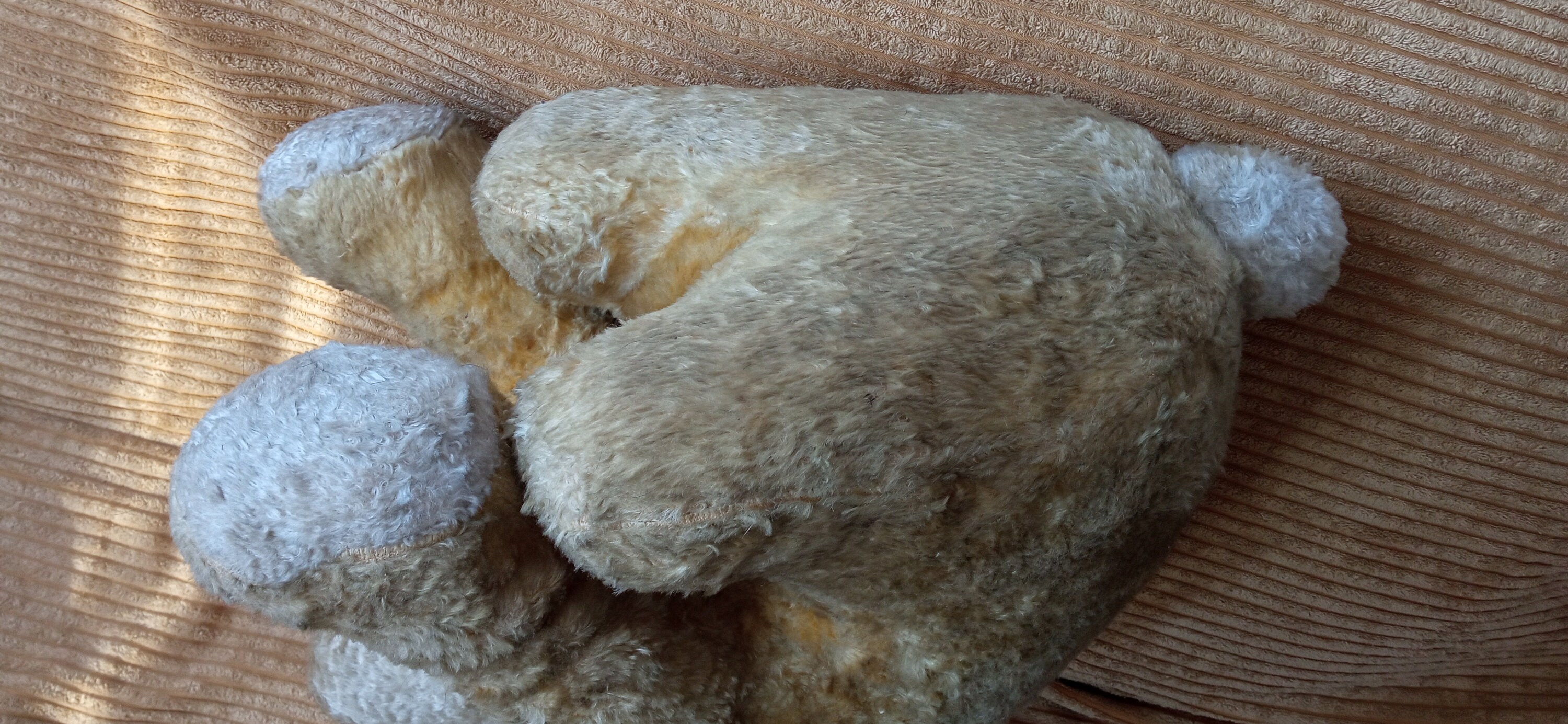 Chien en peluche vintage (Gebraucht) in Vésenaz für CHF 5 - mit