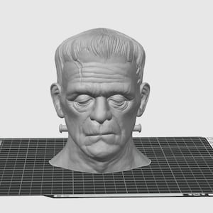 May include: A 3D printed model of Frankenstein's monster's head, with a detailed face and visible neck bolts. The model is printed in a light gray color and is sitting on a black textured surface.