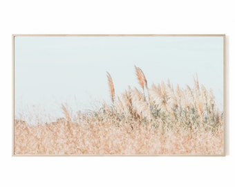Samsung Frame TV Arte Paisagem da Natureza Campo dos Pampas