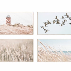 May include: Set of four framed prints featuring a lighthouse in a field of tall grass, a flock of birds flying in formation, and two close-up images of tall grass.