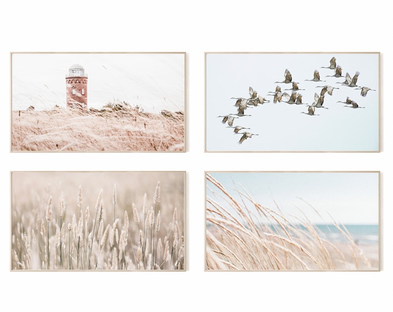 May include: Set of four framed prints featuring a lighthouse in a field of tall grass, a flock of birds flying in formation, and two close-up images of tall grass.