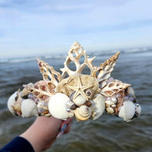 May include: A handcrafted seashell crown featuring a variety of shells, including conch shells, starfish, and small spiral shells. The crown is adorned with iridescent beads and sits against a backdrop of the ocean.
