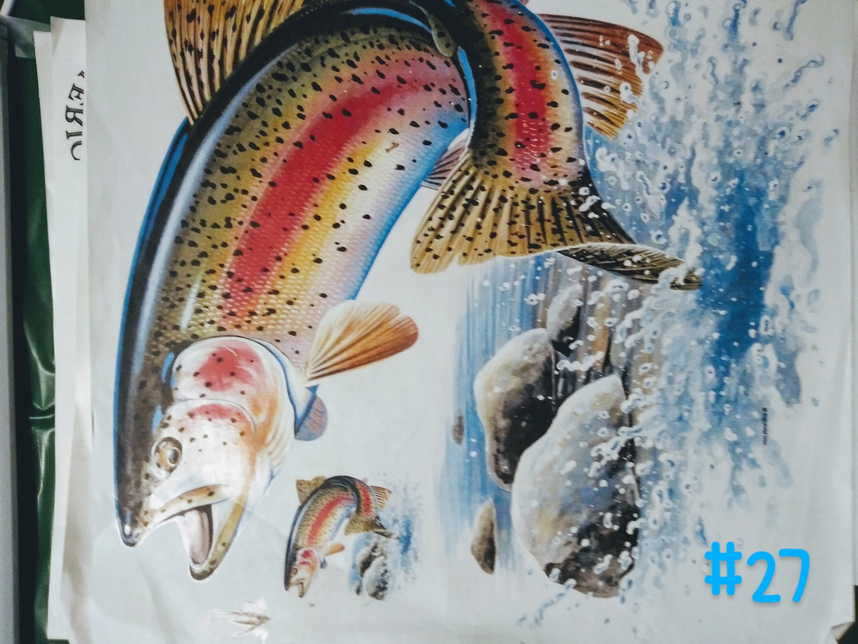 Heat transfer prints for shirts Etsy