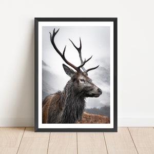 Looking over the Glen, Stag Scottish Highlands, wall art