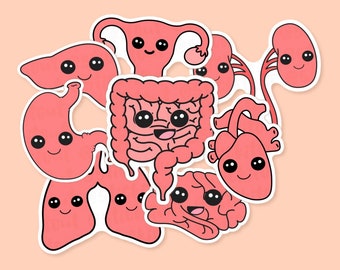 Organ Vinyl Stickers, Brain, Heart, Intestines, Kidneys, Liver, Lungs, Stomach, Uterus Stickers, Educational Stickers, Anatomy Stickers