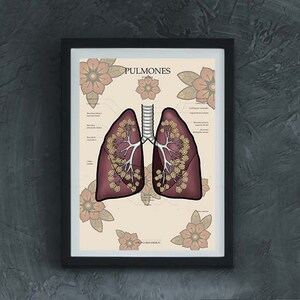 ANATOMY Poster digital, Medicine, Skeleton, Human Body Art, Neotraditional, Anatomical Educational Boards, Anatomy Poster, Anatomy Posters