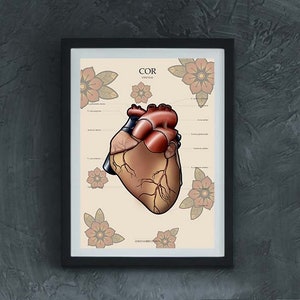 ANATOMY Poster digital, Medicine, Skeleton, Human Body Art, Neotraditional, Anatomical Educational Boards, Anatomy Poster, Anatomy Posters