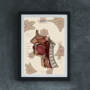ANATOMY Poster digital Pelvis, Medicine, Skeleton, Human Body Art, Neotraditional, Anatomical Teaching Boards, Anatomy Poster, Anatomy Posters