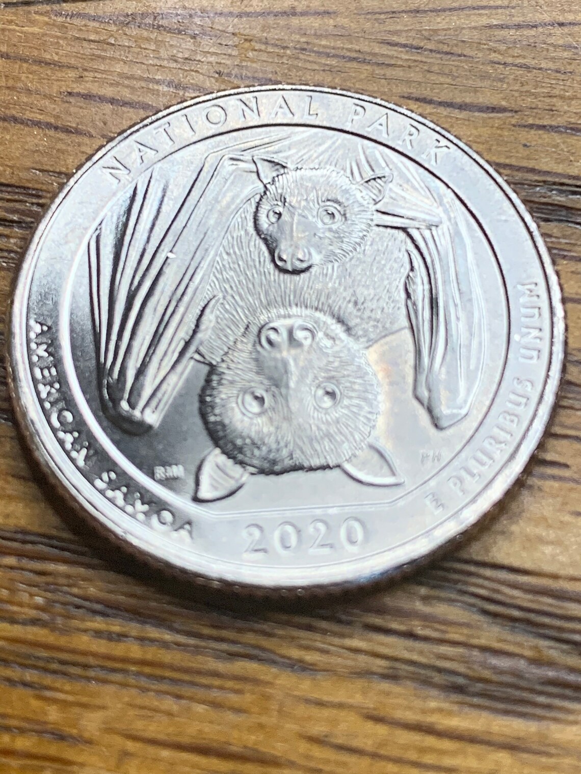 2020 National Park Fruit Bat United State Quarter Etsy