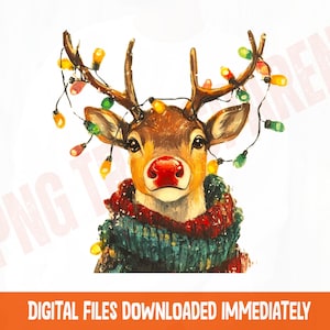 Christmas reindeer with lights png, red nose reindeer sublimation, holiday deer digital design, festive sweater reindeer png