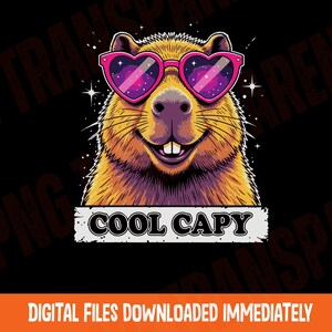 May include: A graphic illustration of a brown capybara wearing pink heart-shaped sunglasses with a galaxy pattern inside the lenses. The capybara has a smiling expression with visible teeth. Below the animal is a white rectangular banner with the text COOL CAPY in black letters.