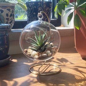 4-1/2" Round Glass Terrarium and 7" Tall Metal Display Stand