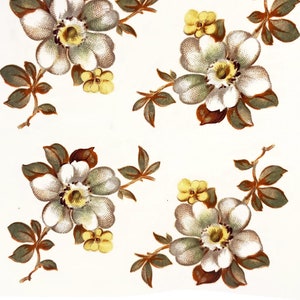 Könnte beinhalten: Ein weißer Hintergrund mit einem sich wiederholenden Muster aus weißen Blüten mit braunen und grünen Blättern. Die Blüten haben einen gelben Mittelpunkt und sind von kleineren gelben Blüten umgeben.