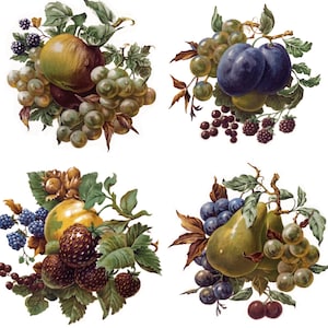 Könnte beinhalten: Vier verschiedene Früchtearrangements mit Trauben, Pflaumen, Birnen und Äpfeln. Jedes Arrangement ist von grünen Blättern und verschiedenen Beeren umgeben, darunter Brombeeren, Blaubeeren und rote Kirschen.