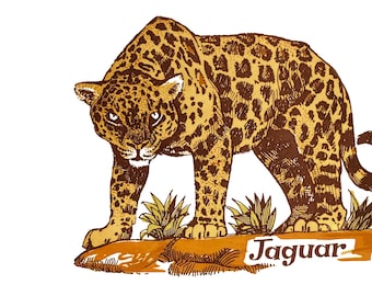 4-1/4" Jaguar Ceramic Decals: Vintage, Water-Mount, Kiln-Fire (Lot of 6)