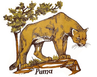 4-1/4" Puma Ceramic Decals: Vintage, Water-Mount, Kiln-Fire (Lot of 6)
