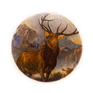 Decalcomanie in ceramica Mountain Buck da 2": montaggio ad acqua vintage, fuoco di fornace (lotto da 12)