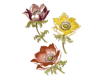 2-1/4" Anemones Pink, Purple, & Yellow Flowers: Vintage Ceramic Decals, Water-Mount, Kiln Fire (Lot of 18)