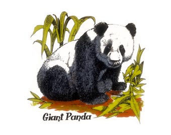Giant Panda Ceramic Decals 4" W : Vintage, Water-Mount, Kiln-Fire (Lot of 6)