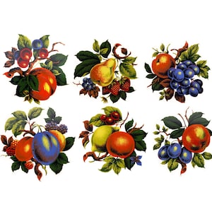 Könnte beinhalten: Sechs Vintage-Illustrationen von Obstarrangements. Jede zeigt eine andere Kombination von Früchten, wie Äpfel, Pflaumen, Birnen, Trauben und Beeren, mit grünen Blättern und braunen Stielen. Die Früchte sind in leuchtenden Farben dargestellt.