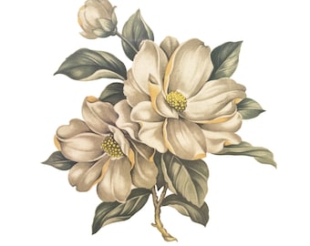 Magnolias 4-1/2" Ceramic Decals: Vintage Water-Mount, Kiln Fire (Lot of 6)