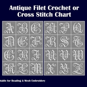 May include: A black and white alphabet chart for cross stitch or filet crochet. The letters are in a decorative font with floral accents. The chart is adaptable for beading and mesh embroidery. The text "Adaptable for Beading & Mesh Embroidery" and "PDF" are at the bottom of the chart.
