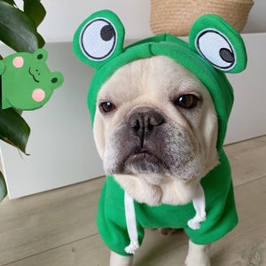 Pawspie Frog Green Hoodie for small/medium dogs | Cute Dog and Cat Clothes | St.Patrick's Day