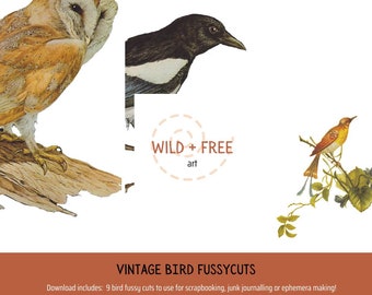 Vintage Bird Fussy Cut Printable Paper Cutouts Pack for Junk Journalling and Scrapbooking