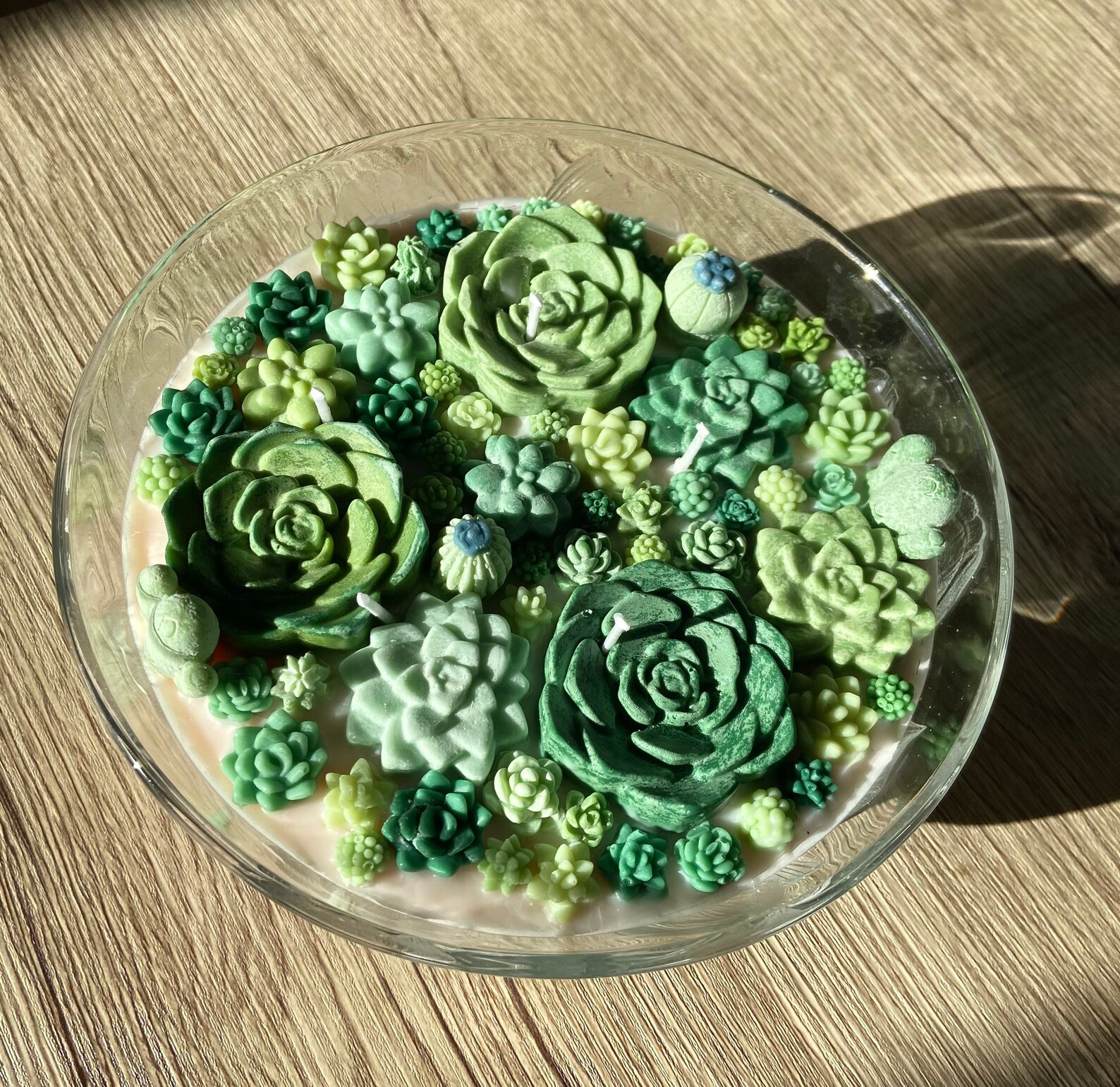 Large Succulent & Cactus Garden Candle Etsy