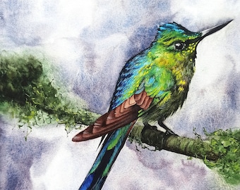 Long-tailed Sylph, Original watercolor bird painting, Realistic watercolor bird, bird lover wall art, Bird watercolour artwork painting
