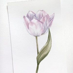 Tulipe rose tendre, aquarelle originale de fleurs, aquarelle réaliste, décoration murale florale, art esthétique de la tulipe