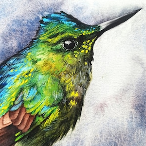 Original watercolor bird painting, Long-tailed Sylph, Realistic watercolor bird, bird lover wall art, Bird watercolour artwork painting