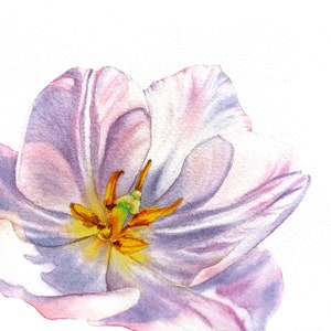 Zarte Tulpenblätter, Original Aquarell Blumenmalerei, Realistische Aquarellmalerei, Florale Wanddekoration, Ästhetische Tulpenkunst