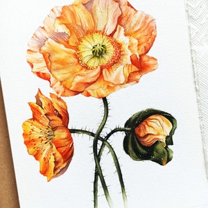 Stampa di alta qualità dal dipinto ad acquerello originale Poppies su carta di cotone, decorazione murale floreale ad acquerello realistico, arte della parete floreale