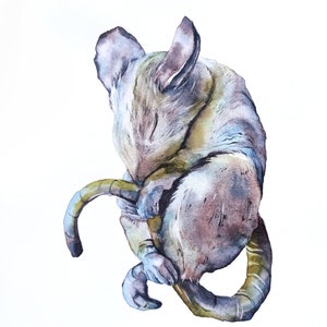 Pittura originale del topo ad acquerello, illustrazione di animali ad acquerello, ritratto di animali domestici, arte e arredamento della parete del topo addormentato