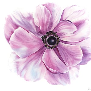 Housewarming gift original watercolor flower painting, Pink anemone watercolor painting, Floral wall decor, Flower wall art, Art lover gift
