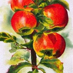 Mele autunnali, Dipinto ad acquerello originale personalizzato, Arte murale botanica con mele rosse, Immagine ad acquerello realistica, Decorazione murale dipinta a mano
