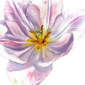 Delicati petali di tulipano n. 2, Dipinto originale di fiori ad acquerello, Dipinto ad acquerello realistico, Decorazione floreale da parete, Arte estetica dei tulipani