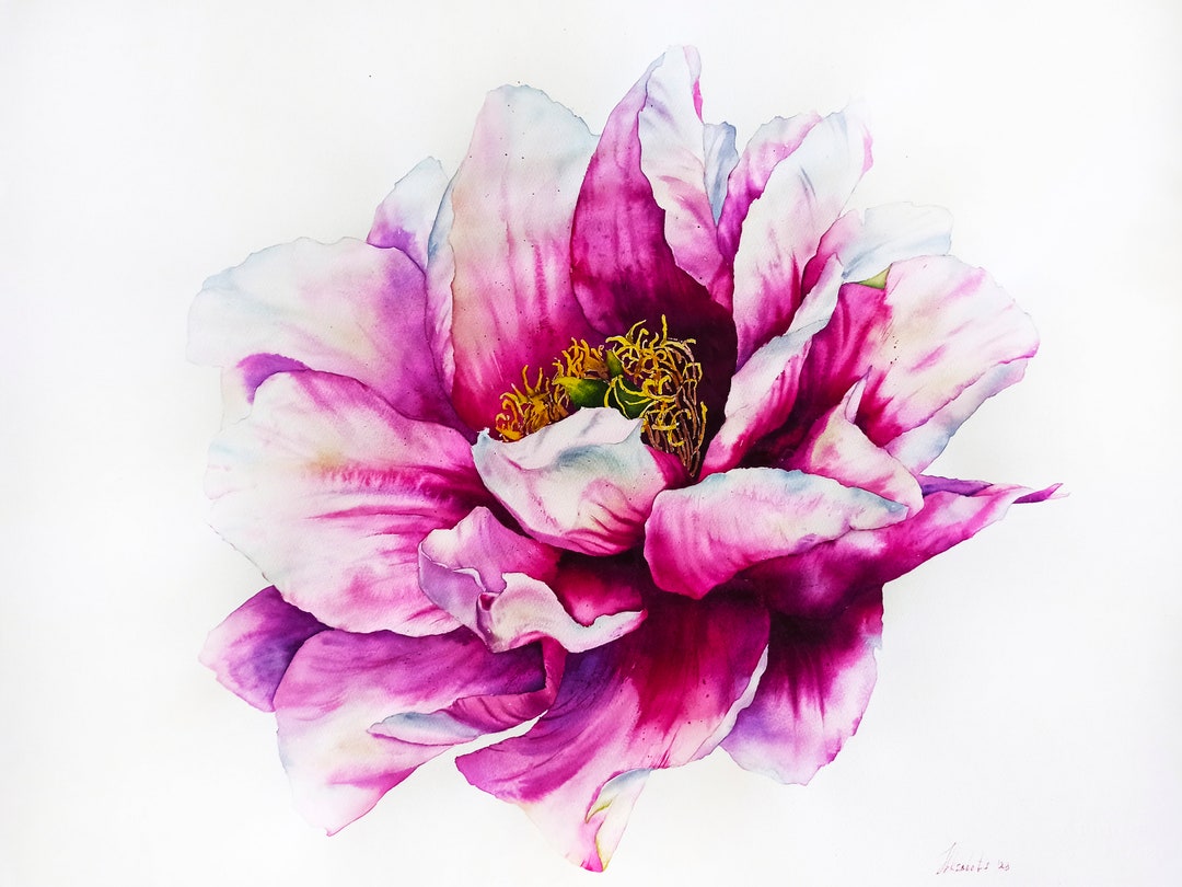Original Watercolor Pink Peony Painting, Large Watercolor Painting ...