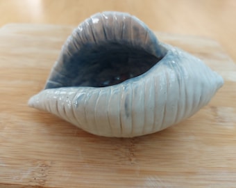 Handmade ceramic sea shells, in white and blue glazes