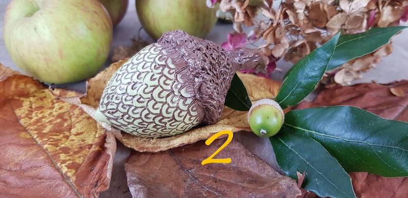May include: A ceramic acorn with a brown and green glaze, sitting on a brown leaf with a green leaf and a real acorn beside it. The number "2" is written in orange on the leaf.