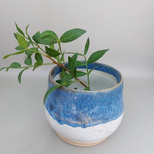 May include: A white ceramic vase with a blue glaze, featuring a light blue band around the top. The vase is filled with a sprig of green leaves.