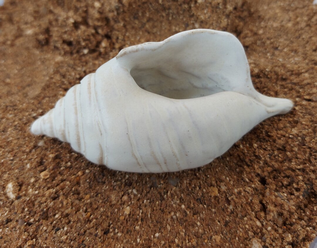 Handmade Small Ceramic White Sea Shells - Etsy