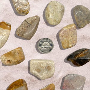 Peut inclure: Une collection de pierres polies dans les tons de beige, marron et gris, avec une pi&egrave;ce canadienne de 5 cents de 2020. Les pierres varient en taille et en forme, certaines avec des motifs et des textures visibles. Le fond est blanc ros&eacute;.