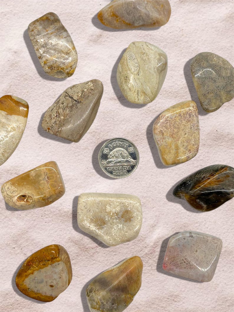 Peut inclure: Une collection de pierres polies dans les tons de beige, marron et gris, avec une pi&egrave;ce canadienne de 5 cents de 2020. Les pierres varient en taille et en forme, certaines avec des motifs et des textures visibles. Le fond est blanc ros&eacute;.