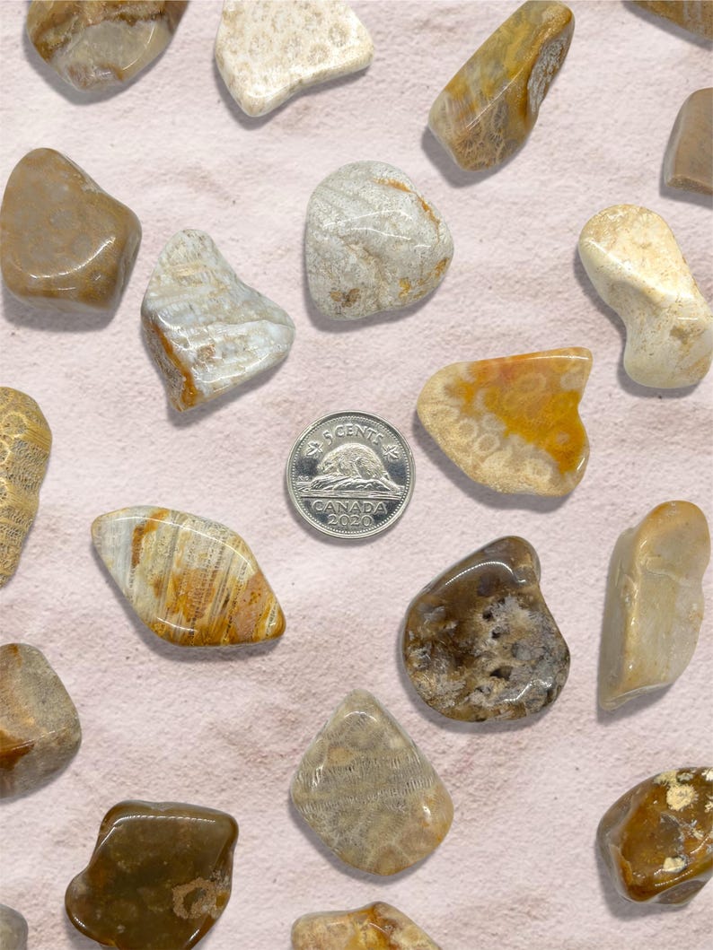 Peut inclure: Collection de pierres polies de diff&eacute;rentes formes et couleurs, notamment beige, marron et beige clair. Une pi&egrave;ce de 5 cents canadienne est incluse pour r&eacute;f&eacute;rence de taille. Les pierres sont dispos&eacute;es sur une surface rose clair.