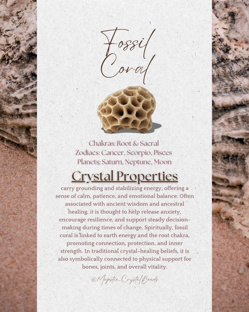 Peut inclure: Un sp&eacute;cimen de corail fossile beige avec une structure en nid d'abeille. L'image comprend le texte "Fossil Coral" et des d&eacute;tails sur ses propri&eacute;t&eacute;s, y compris son association avec les chakras Racine et Sacr&eacute; et les signes du zodiaque Cancer, Scorpion et Poissons.