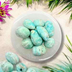 Pu&ograve; includere: Una ciotola bianca piena di pietre rotonde di colore blu chiaro e bianco. Le pietre sono lisce e hanno un motivo a spirale. La ciotola &egrave; appoggiata su una superficie bianca.